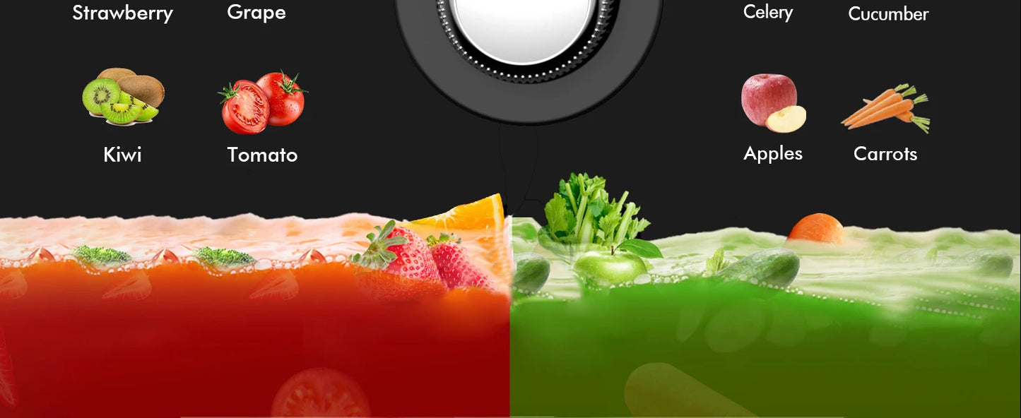 SiFENE High-Yield Cold Press Juicer