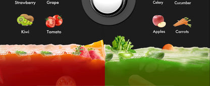 SiFENE High-Yield Cold Press Juicer