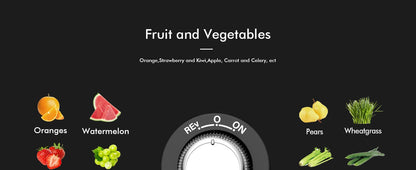 SiFENE High-Yield Cold Press Juicer