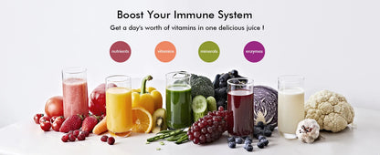 SiFENE High-Yield Cold Press Juicer